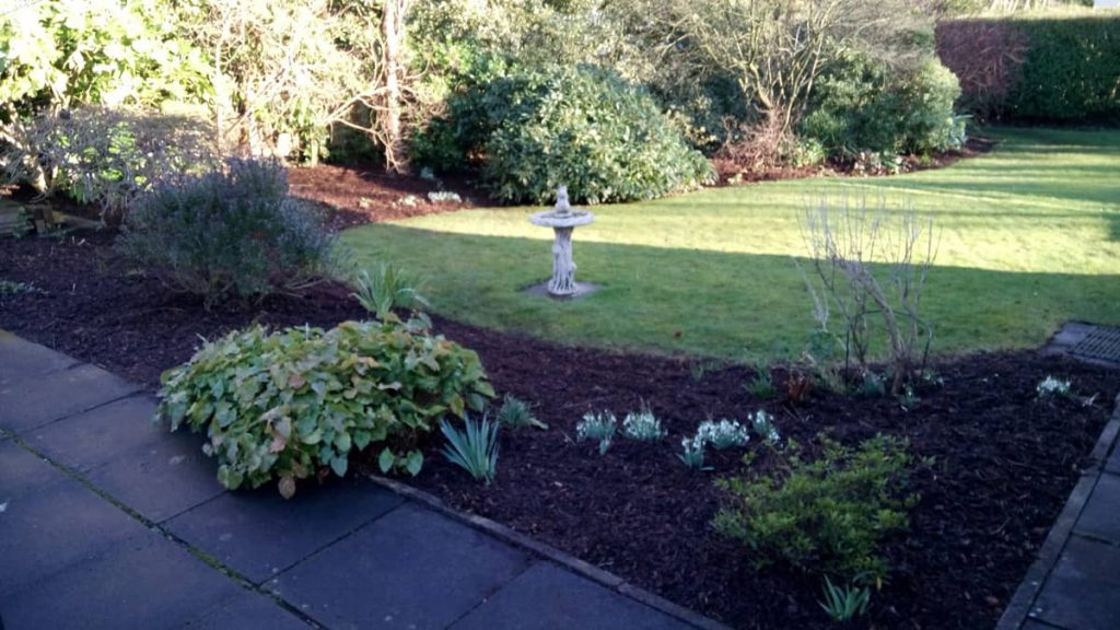 Neglected bed tidied up and converted to low maintenance in Winter