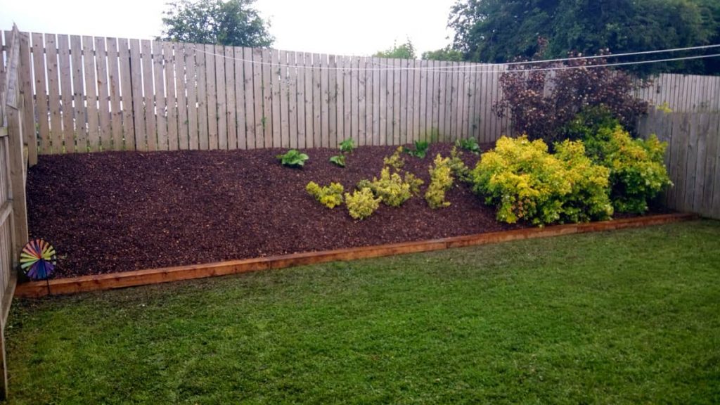 Overgrown bank converted to low maintenance with room left for kid’s slide