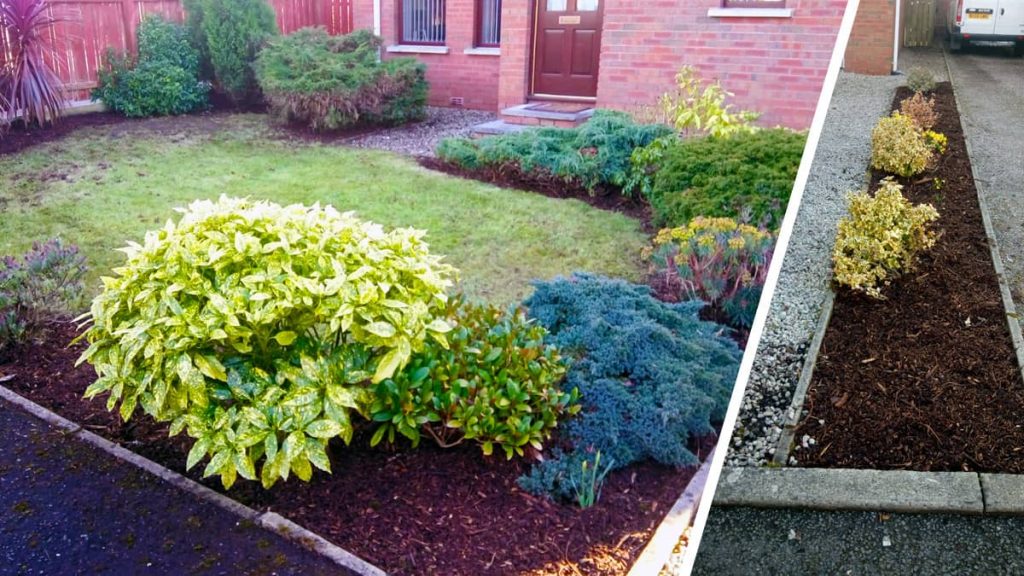 Front garden beds converted to low maintenance garden beds