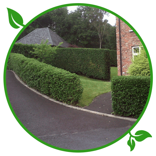 Hedge Cutting
