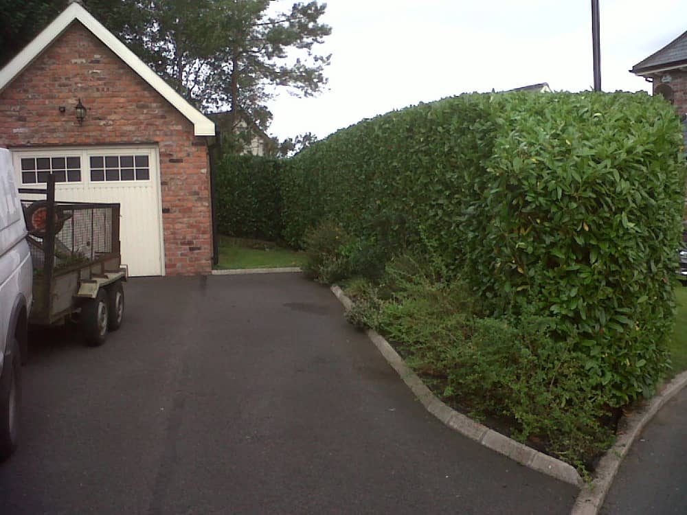 Hedge Cutting in Lisburn, Belfast, Malone, Hillsborough, Co. Antrim