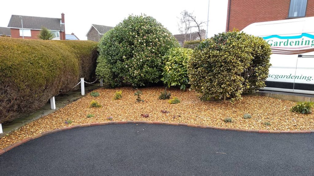 Front lawn copverted to low maintenance