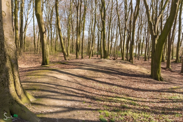 Park - Blickrichtung zur Wildeshauser Straße