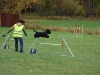 agility-2