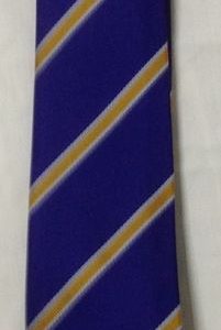 THE HOWARD SCHOOL - HOWARD TIE, THE HOWARD SCHOOL