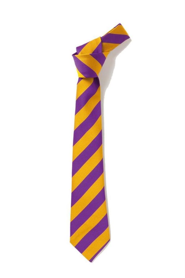 PHOENIX PRIMARY ACADEMY - PHOENIX JUNIOR TIE, PHOENIX PRIMARY ACADEMY