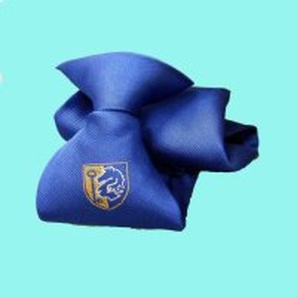 AYLESFORD SCHOOL - AYLESFORD TIE, AYLESFORD SCHOOL