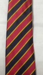 ST JOHN FISHER CATHOLIC COMPREHENSIVE SCHOOL - ST JOHN FISHER TIE, ST JOHN FISHER CATHOLIC COMPREHENSIVE SCHOOL