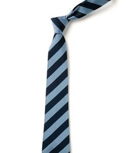 All Faiths Childrens Academy - ALL FAITHS ACADEMY TIE, All Faiths Childrens Academy