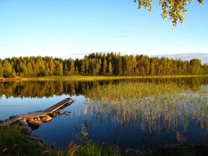 7 Dinge die du nicht ueber Schweden wusstest