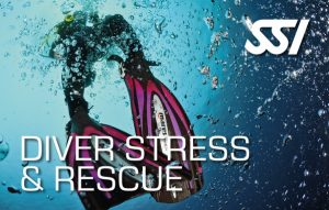SSI_Stress_and_Rescue