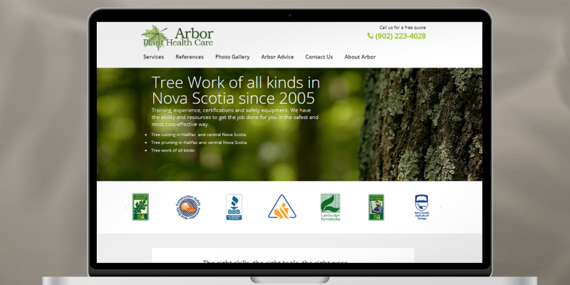 Vietnam software outsourcing Abor