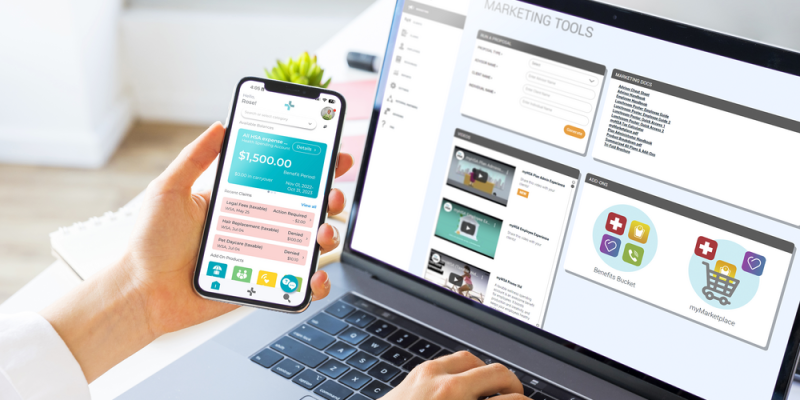 Web and mobile application development project