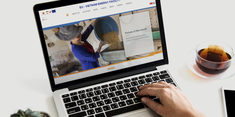 vietnam-software-outsourcing-evef