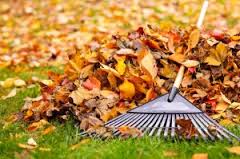 Fall leaf raking