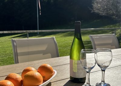 Sommerhus i dyreskoven