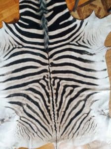 Sebraskinn i nettbutikken - sebra