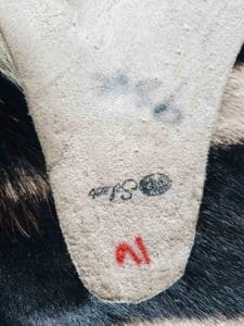 Sebraskinn i nettbutikken - sebra