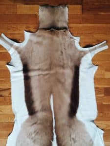 Springbukkskinn i nettbutikken - springbukk