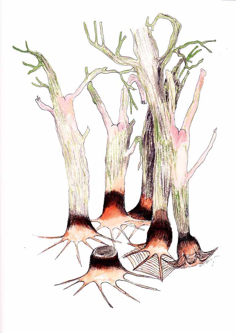 evolution_VI_marikaseidler