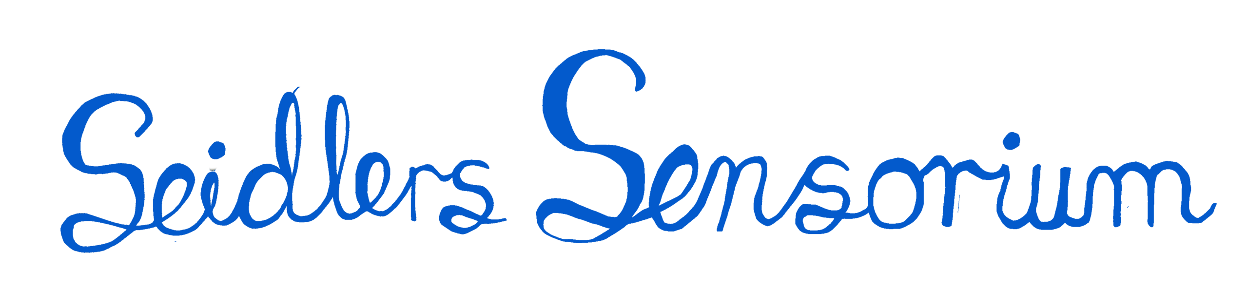 logo_webp_transparent_blue