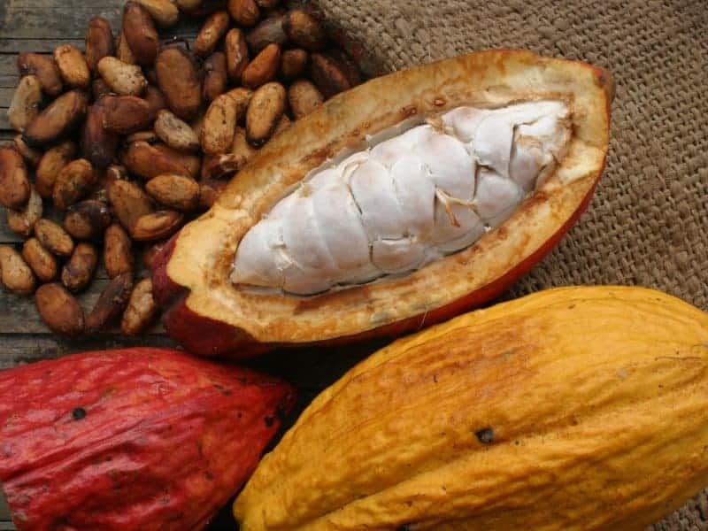 Kakao | Kakaopulver | Kakaonibs
