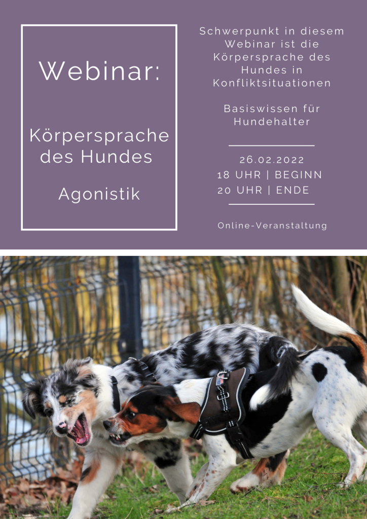 Hundeschule Paderborn Hundetraining Körpersprache Agonistik