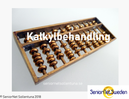 Kalkylbehandling