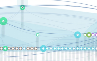 Workshop: The real “us” your organisation through the insights generated by a Network Analysis tool