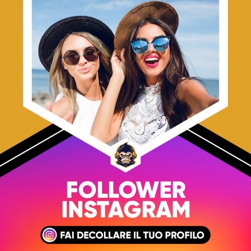 Follower Instagram Servizi Social Media