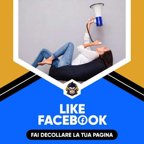 Like Facebook Servizi Social Media