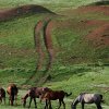 lorestan03