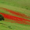 lorestan06