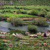 lorestan07