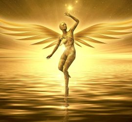 The Tribal Vibe Summer Festival 2022