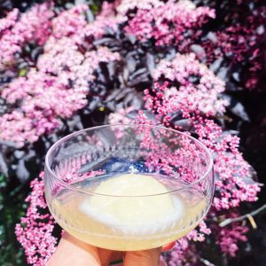 Cocktail with flowers in background
