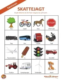 Skattejagt Bilbingo