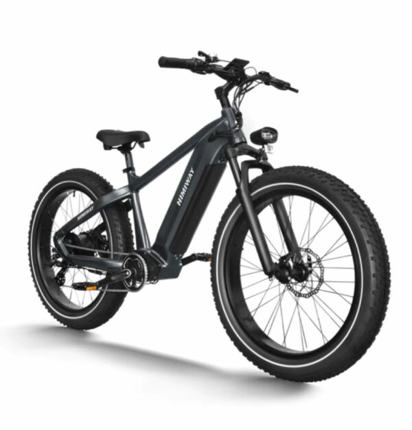 E-Fat-Bike