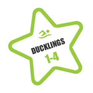 Duckling Certificates & Badges