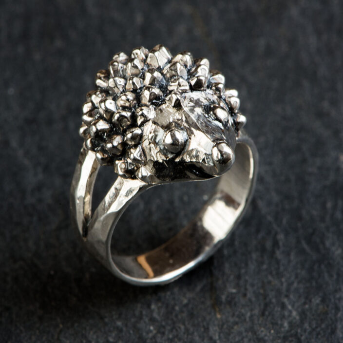 Pindsvine ring