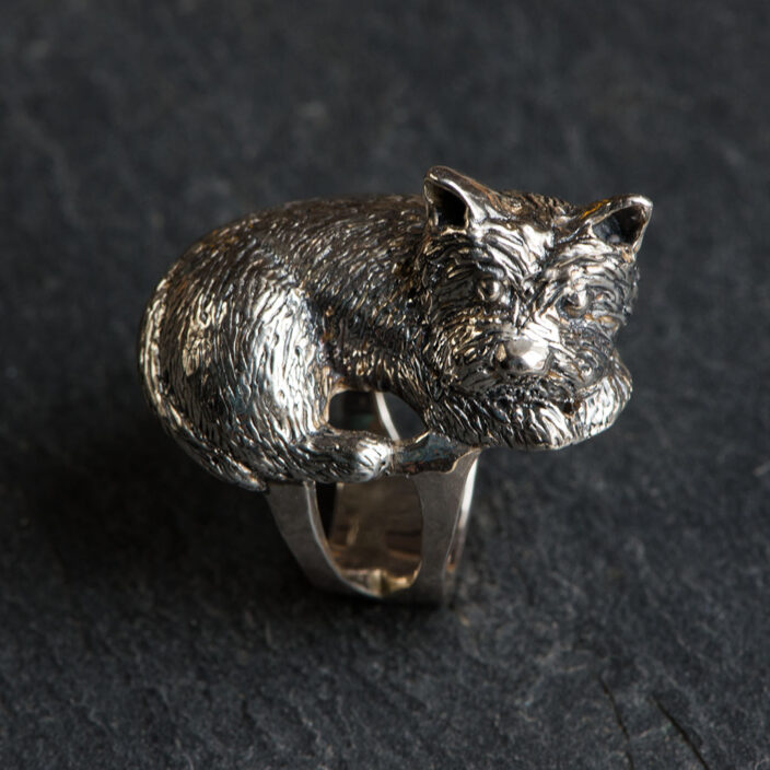 Terrier ring 1