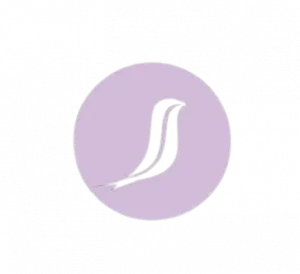 Swifties Core A-Grade Feather Shuttlecocks