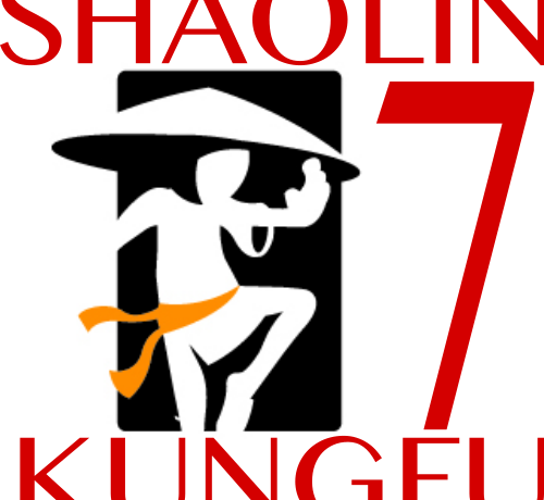 Registratie Shaolin Kung Fu Examen 7