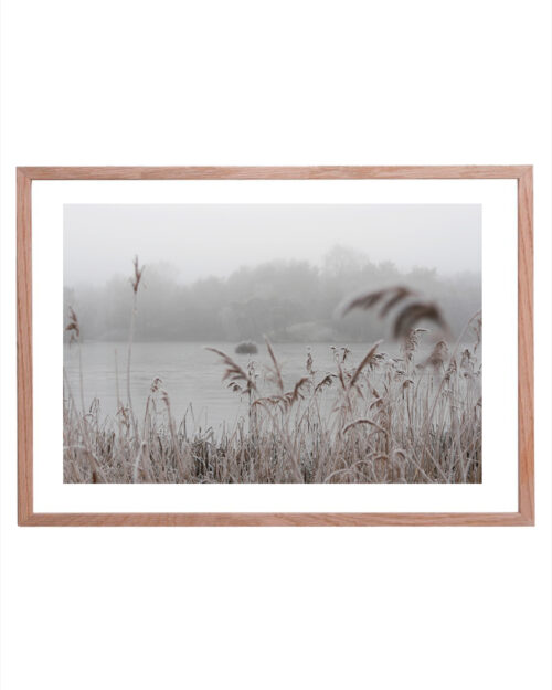Fotoprint med frusen vass i träram i dimma