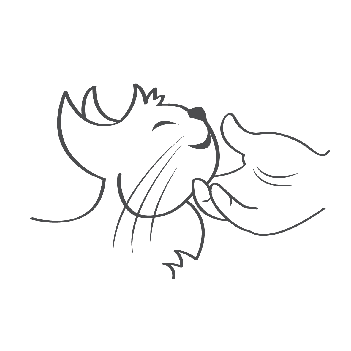 Happy Cats Icons-02