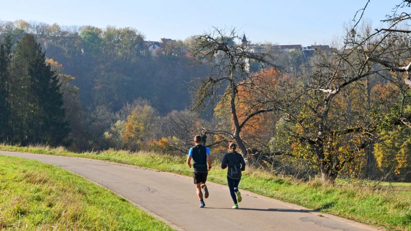 Lauf- und Triathlon-Trainingspläne