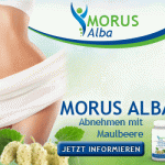 Weiße Maulbeere – Morus Alba
