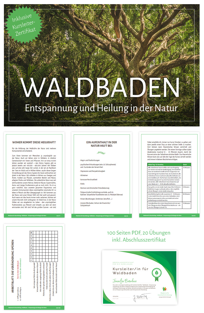 Online-Ausbildung „Waldbaden und Naturtherapie“