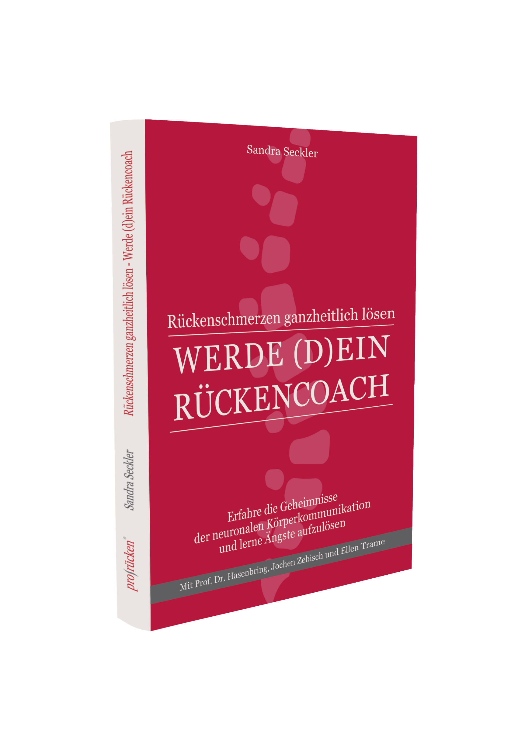 Rückenschmerzen ganzheitlich lösen-Werde (d)ein Rückencoach