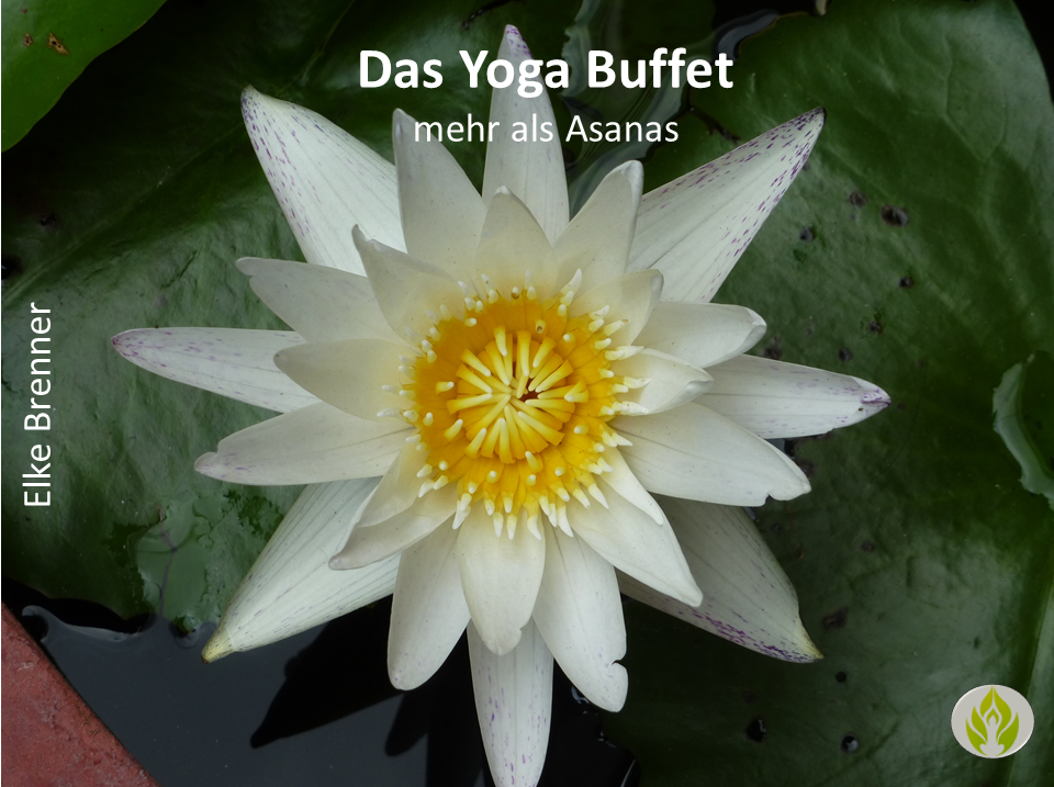 Das Yoga Buffet – mehr als Asanas